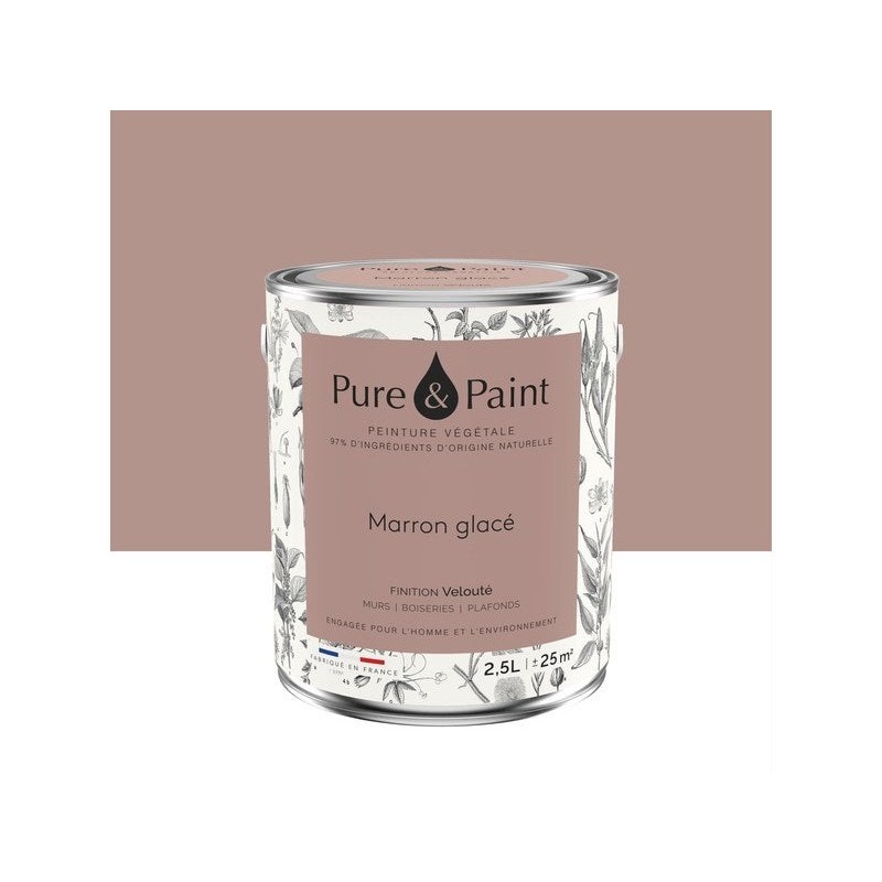 Peinture marron glace mur, plafond et boiserie , PURE  PAINT velours 2.5 l