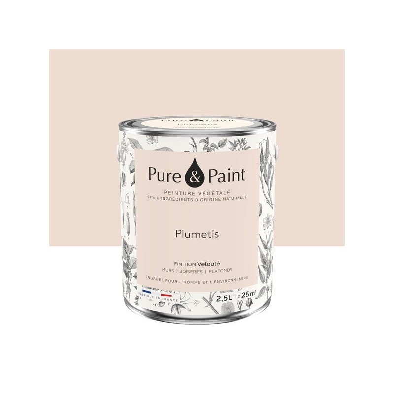 Peinture plumetis mur, plafond et boiserie , PURE  PAINT velours 2.5 l