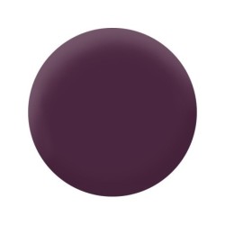 Peinture aubergine mur, plafond et boiserie , PURE  PAINT velours 0.5 l