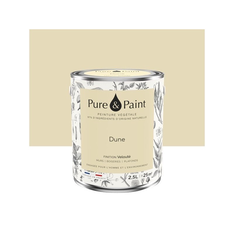 Peinture dune mur, plafond et boiserie , PURE  PAINT velours 2.5 l