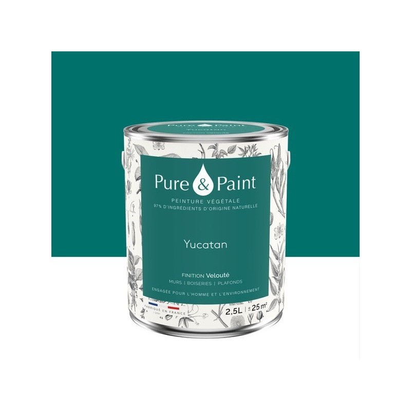 Peinture yucatan mur, plafond et boiserie , PURE  PAINT velours 2.5 l