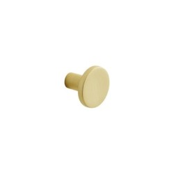 Lot de 2 boutons de meuble INSPIRE pour meubles Evo'm Ben laiton brossé