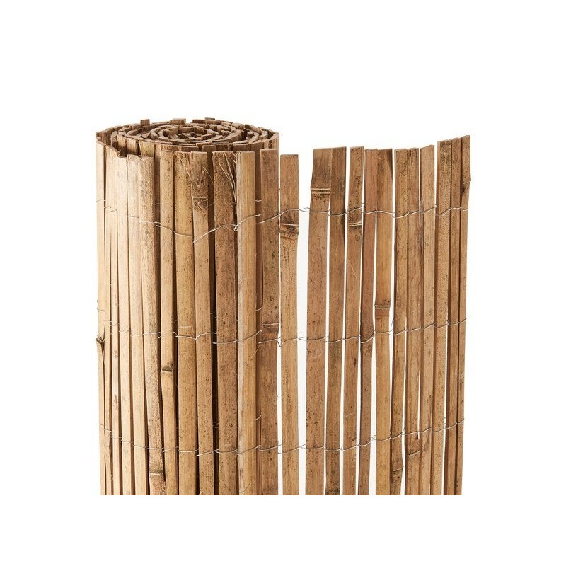 Canisse bambou 1x3m occultation moyenne naturelle