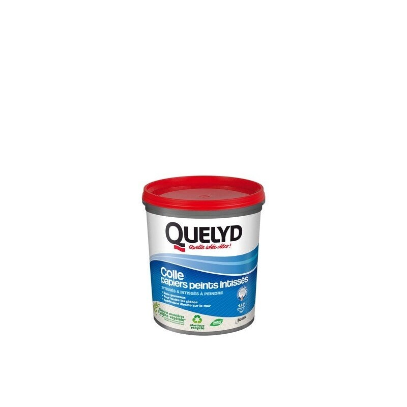 Colle Pate papier peint intisse QUELYD, 1 kg