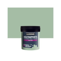 Testeur peinture cactus 5 velours LUXENS 50 ml