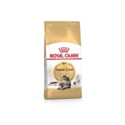 Royal Canin Alimentation Chat Maine Coon 2 Kg