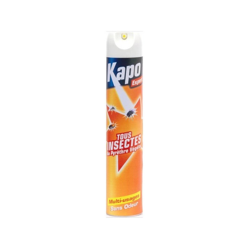 Anti insecte aérosol tous insectes, KAPO EXPERT, 500 ml