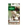 Graines de potager oignon blanc de rebouillon VILMORIN 5 g