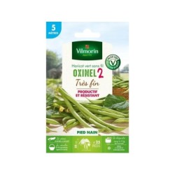 Graine potagère de haricot nain sans fil Oxinel 2, VILMORIN, 35 g