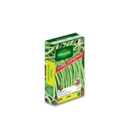 Graine potagère de haricot sans fil Oxinel 2, VILMORIN, 220 g