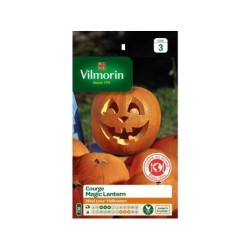 Graines de potager courge magic lanterne VILMORIN 3 g