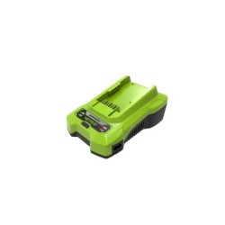 Chargeur universel 40V GREENWORKS