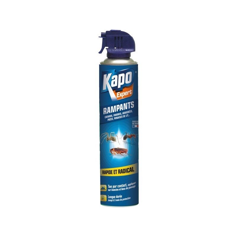 Insecticide aérosol insectes rampants Kapo, 400 ml