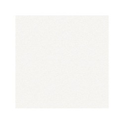 Primaire D'accrochage pour peinture a effet, blanc, 1.000 l