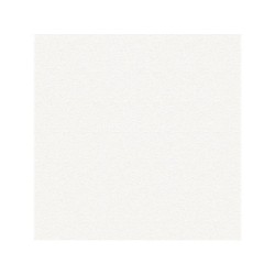 Primaire D'accrochage pour peinture a effet, blanc, 2.500 l