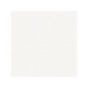 Primaire D'accrochage pour peinture a effet, blanc, 2.500 l