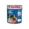 Saturateur ultra PROTECT SYNTILOR, naturel, mat 5 L