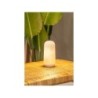 Ampoule decorative rechargeable Candy 200 Lumen blanc NEWGARDEN