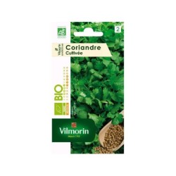 Coriandre coriandre bio VILMORIN 0.5 g