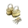 Lot de 2 cadenas à clé en  acier laminé, MASTER LOCK, l.45 mm