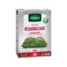 Soin regarnissage 2 en 1, VILMORIN, 1 kg 60 m²