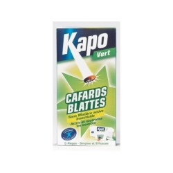 Anti Cafard/Blatte Piege X5 Kapo Vert