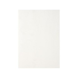 Lambris en pvc alvéolaire, DUMAPLAST, L.260 x l.10 cm Ep.10 mm blanc lisse