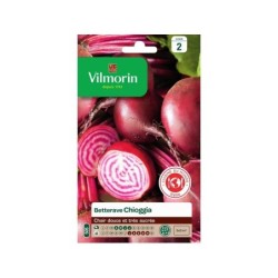 Graines de potager betterave chioggia VILMORIN 6 g