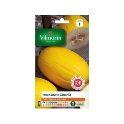 Graines de potager melon jaune canari 3 VILMORIN 3 g