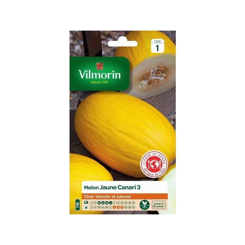 Graines de potager melon jaune canari 3 VILMORIN 3 g