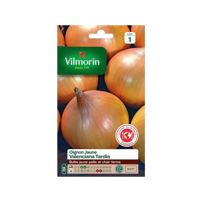 Graines de potager oignon valenciana tardia VILMORIN 5 g