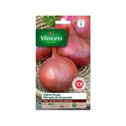 Graines de potager oignon rouge morada de amposta VILMORIN 5 g