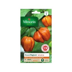 Graines de potager piment magnum F1 orange VILMORIN 0,5 g