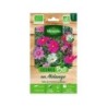 Graines florale cosmos en mélange VILMORIN 2 g