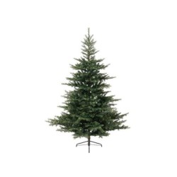 Sapin Grandis, hauteur 150 cm avec 1038 branches, diamètre maximum 111 cm