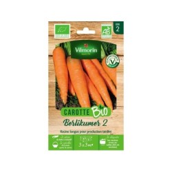 Graines de potager carotte berlikumer 2 bio VILMORIN 3 g