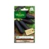 Graines de potager radis noir long poids VILMORIN 5 g