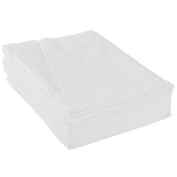 Voile d'hivernage, GEOLIA, 30G/M2, 2 x 10m