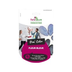 Fleur bleue chromo 25 Plants 1000 G