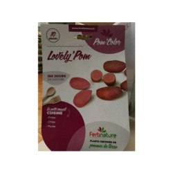 Graine de pomme de terre lovely pom 300 g