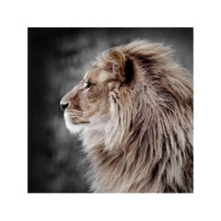 Toile Imprimée Love Lion, Beige, Noir, Marron Artis L.30 X H.30 Cm