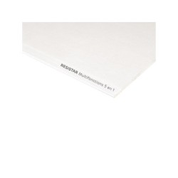 Plaque de plâtre BA 13, 5en1 : feu, phonique, hydro, HD, H.250 x l.120 cm, blanc