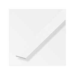 Plat 30 x 3 mm pvc blanc 2,5 m