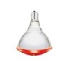 Lot de 2 lampes infra rouge, 250w, rouge, INTERHEAT