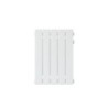 Radiateur électrique inertie sèche vertical Palayer, UNIV'R CHAUFFAGE, 750W blanc