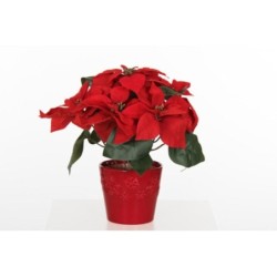 Poinsettia, Cache Pot En Céramique Rouge