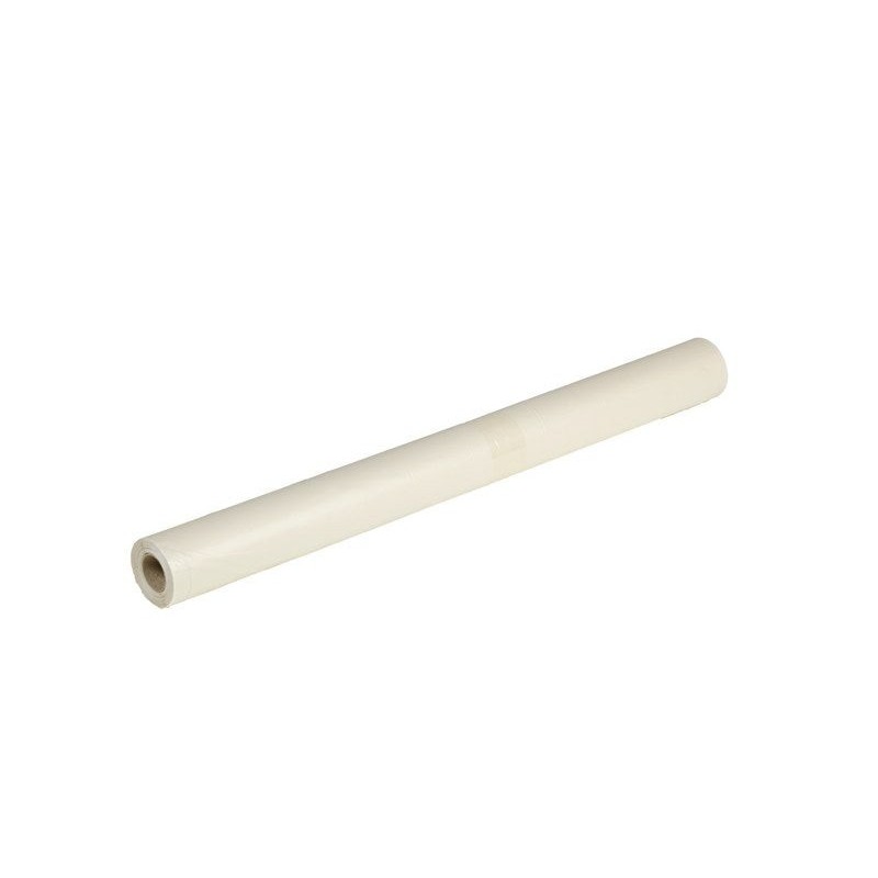 Bâche de protection feuille plastique, DEXTER, L.15 X l.3 m