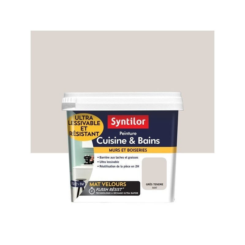 Peinture Mur Cuisine Et Bains Syntilor Grès Tendre Mat 0.75 L