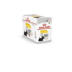 Royal Canin Alimentation Chien Dermacft Mousse 12X85G