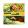 Traitement des insectes doryphores pour potager et verger, SOLABIOL, 125 ml